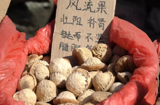保羅V8壯陽藥功效與使用指南:補腎益血調養精氣